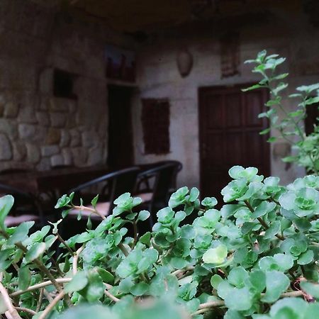 Naturels Cave House Ürgüp Extérieur photo